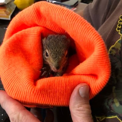 david_ritz58575's profile picture. 