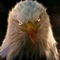 βοΈ π. ππππππ₯ βοΈ (@jasonkn07430666) 's Twitter Profile Photo βοΈ π. ππππππ₯ βοΈ (@jasonkn07430666) 's Twitter Profile Photo