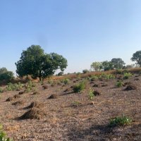 Bamali (@bamali244) 's Twitter Profile