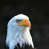 Asim_Khan (@asim_khan09) 's Twitter Profile