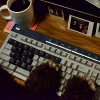 saintlogic (@saintlogicband) 's Twitter Profile