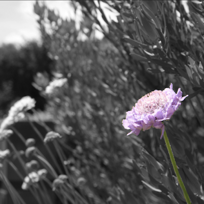 DoraLeVerdad's profile picture. 