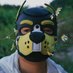 狸猫不是猫 (@krcvmoqilimao) Twitter profile photo 狸猫不是猫 (@krcvmoqilimao) Twitter profile photo