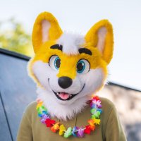 Nuuk (@nuukpolarwolf) 's Twitter Profile Photo Nuuk (@nuukpolarwolf) 's Twitter Profile Photo