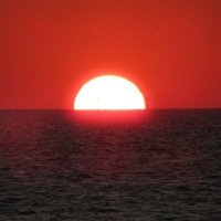 Bill Werle (@werle3) 's Twitter Profile