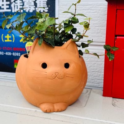 2024年3月1日開校の太宰府市にある個別指導塾オーナー兼塾長。太宰府市西鉄都府楼前駅から徒歩1分!理髪店の2階です。 アドラー心理学をベースにした基本1対4の個別指導で1回の授業は10名まで。二日市校の姉妹校。小学生から中学生までどんなに勉強が苦手なおこさんにも丁寧に学ぶ力を育て、成績アップをめざします!