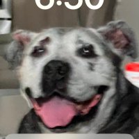 Elaine (@elainee9828) 's Twitter Profile