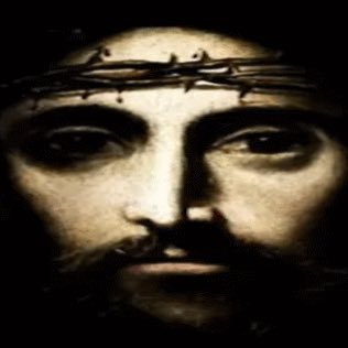 jesiotrowaty's profile picture. 