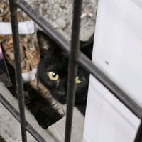 えあさばす (@airssbbath) 's Twitter Profile