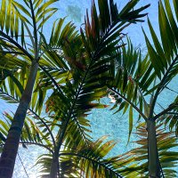 sueda beyza (@suedabeyzakdag) Twitter profile photo