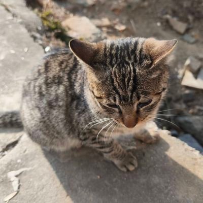 Enginuity157879's profile picture.