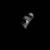 Alpha (@wen_wending) Twitter profile photo Alpha (@wen_wending) Twitter profile photo