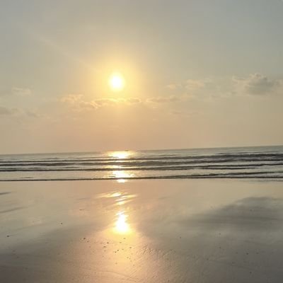 liu1318480's profile picture. 