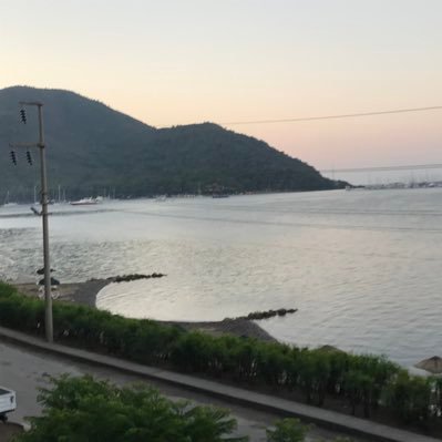 lemphn's profile picture. 