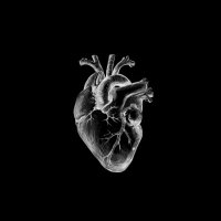 BLACK HEART🎧 (@school41217) 's Twitter Profile Photo BLACK HEART🎧 (@school41217) 's Twitter Profile Photo