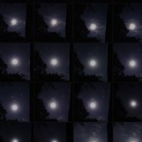 . (@neptune_53) 's Twitter Profile