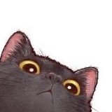 nyankorosuki's profile picture. えいち