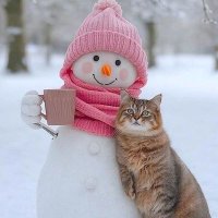 Animal's photos........ 🐴🦫🦮 (@ms4271252) 's Twitter Profile