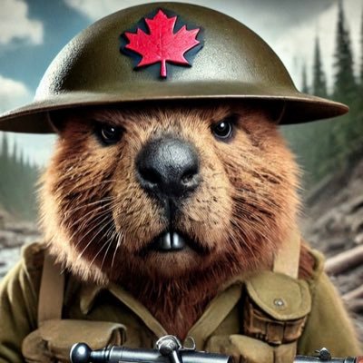 Vive Le Canada 🇨🇦C’est notre terre 🇨🇦Ça ne sera Jamais les États Unis