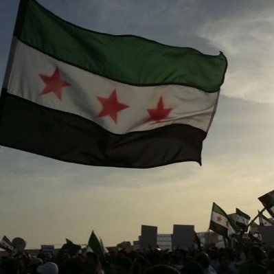 Walid🇸🇾 Profile