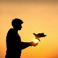 Faizan (@faizanm03) 's Twitter Profile Photo