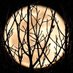 The Moonlit Road (@themoonlitroad) Twitter profile photo The Moonlit Road (@themoonlitroad) Twitter profile photo