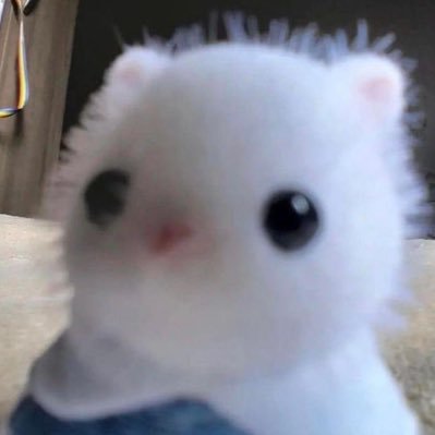 annyeon0101's profile picture. 공산당 물러가라 자유민주주의 지키자🇰🇷🇺🇸