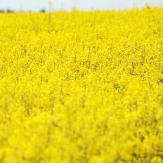 SuperSabine_SEO's profile picture. 👩🏻‍🦰