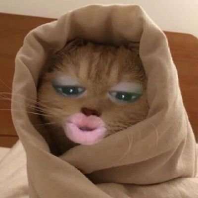 depresstofu's profile picture. its the season of giving up :)