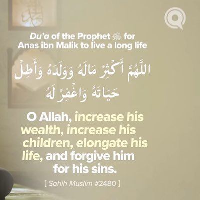 Quranverses2025's profile picture. Sharing Quran translation in English
