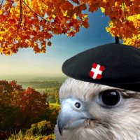 Faucon Alpin๐๏ธ (@vraiconalpin) 's Twitter Profile Photo Faucon Alpin๐๏ธ (@vraiconalpin) 's Twitter Profile Photo