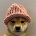 bradwifhat (@bradwifhat) Twitter profile photo bradwifhat (@bradwifhat) Twitter profile photo