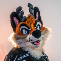 Alpine ๐ LVFC, FWA (@alpinedeerwolf) 's Twitter Profile Photo Alpine ๐ LVFC, FWA (@alpinedeerwolf) 's Twitter Profile Photo