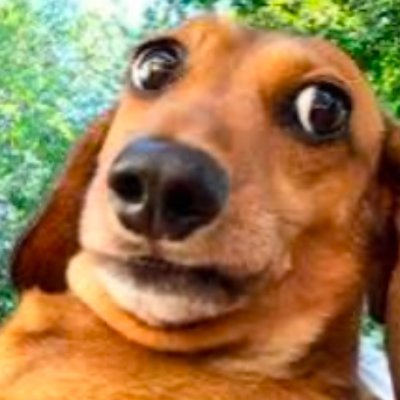 k_sakima's profile picture. ask me