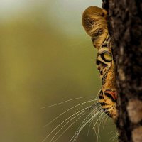 Dnyaneshwar Yadav (@dnyanu2077) 's Twitter Profile Photo Dnyaneshwar Yadav (@dnyanu2077) 's Twitter Profile Photo