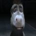 Steven (@yuengdraco) Twitter profile photo Steven (@yuengdraco) Twitter profile photo