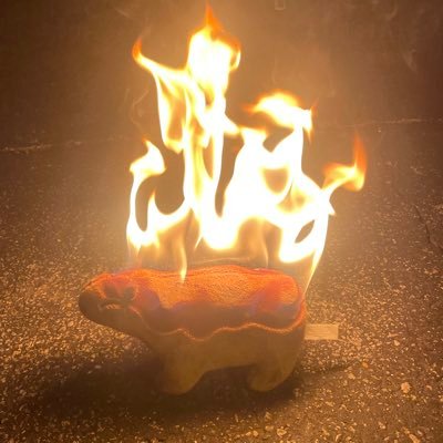 VeizylGD's profile picture. 