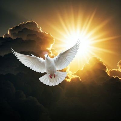 AQKhan2022's profile picture. انقلاب صبح کی کچھ کم نہیں یہ بھی دلیل ..... 
پتھروں کو دے رہے ہیں آئینے کھل کر جواب  ~ حنیف ساجد