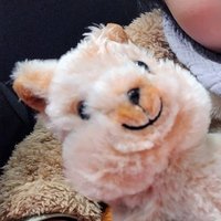 しおん (@abeqtc4p09yhsub) Twitter profile photo