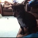 Christopher Heim - @Random_Notch - Twitter