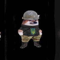 GoArmyBeatNavy (@wa94776345) 's Twitter Profile Photo GoArmyBeatNavy (@wa94776345) 's Twitter Profile Photo