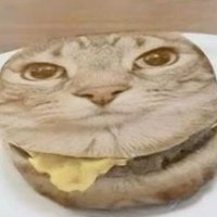 Tolbchik (@tolbchik) 's Twitter Profile Photo Tolbchik (@tolbchik) 's Twitter Profile Photo