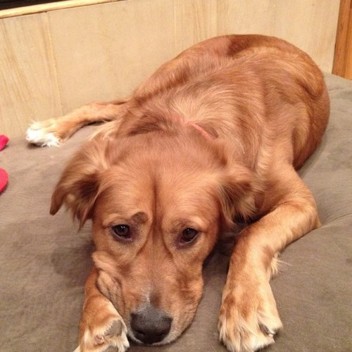 rbblanco's profile picture. 