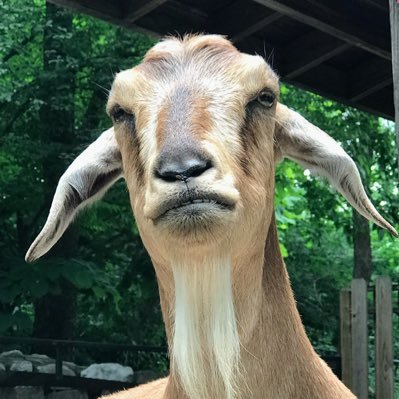 KenyonDuPre's profile picture. Healthcare Engineer