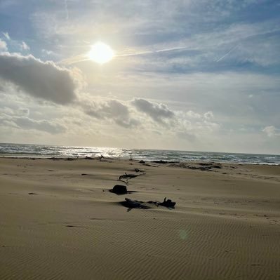 RomainBremond1's profile picture. 