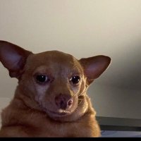 Paint Art (@paintartnft) 's Twitter Profile