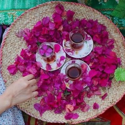 @Mahdiyar5_313
