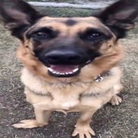 valde tutoriales (@valdetutoriales) 's Twitter Profile