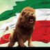 سرباز رضا شاه (@njfwnd69115) Twitter profile photo سرباز رضا شاه (@njfwnd69115) Twitter profile photo
