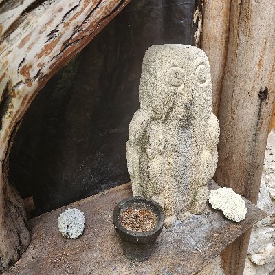 Harefooted41507's profile picture. Gratitude embodied, curiosity unbounded